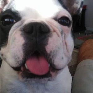 Meet your Posher, Tom